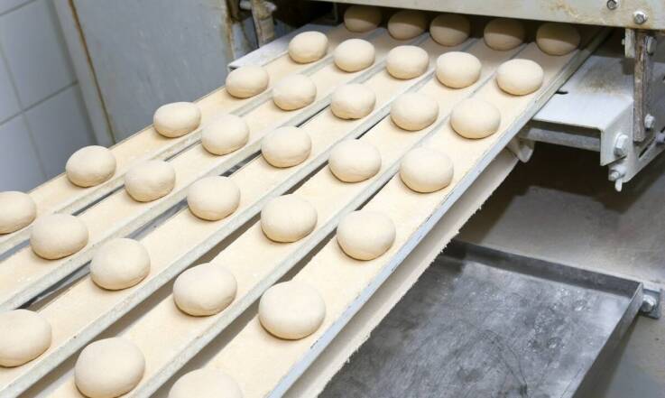 Jakie są kluczowe cechy konstrukcyjne 1-warstwowych taśm transportowych?