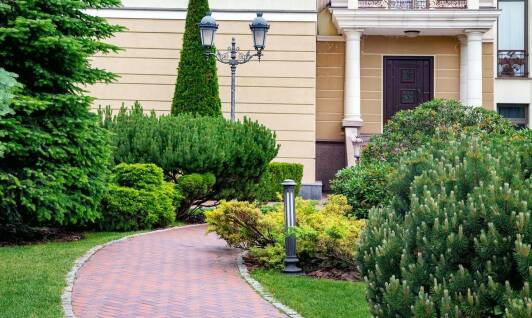 Różnorodność krzewów liściastych i iglastych w szkółce roślin Tarczyn