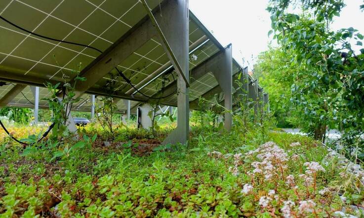 Nowe domy a ekologia: zrównoważone rozwiązania w budownictwie