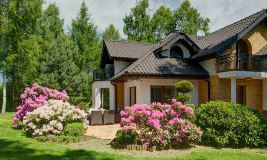 Projekty ogrodów: jak przekształcić przestrzeń wokół domu w oazę spokoju