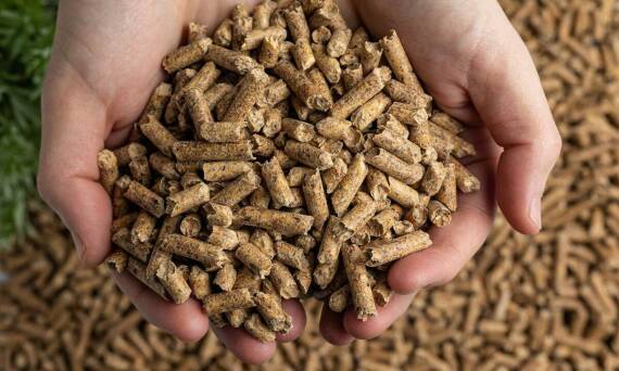 Czy pellet z łuski słonecznika jest opłacalny w użytkowaniu?