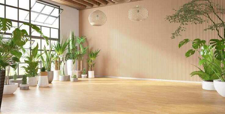 Jakie umiejętności można rozwijać podczas zajęć z Pilates Spine corrector?