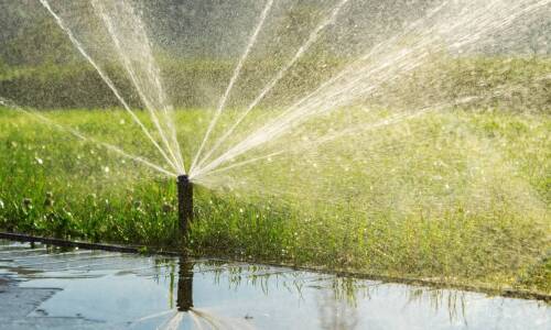 Sterownik nawadniania jako element inteligentnego zarządzania ogrodem