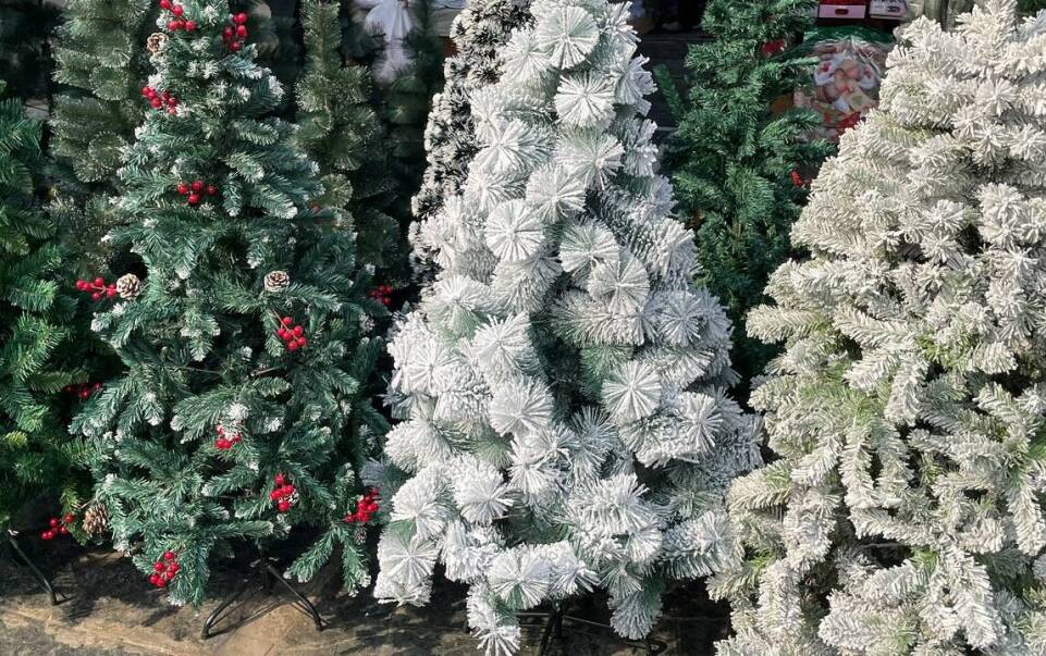 Co wyróżnia najlepszą hurtownię choinek na rynku?