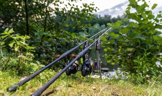 Elektronika wędkarska – jak wybrać najlepszy sprzęt dla karpiarzy?