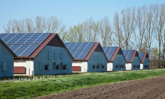 Efektywność hodowli dzięki rozwiązaniom takim jak taksówka mleczna