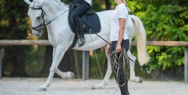 Jakie są etapy postępu w nauce jazdy konnej?