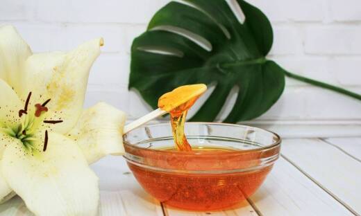 Miód nawłociowy z Roztocza – wyjątkowy smak i właściwości