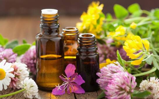 Zastosowanie naturalnych olejków eterycznych w aromaterapii i perfumerii