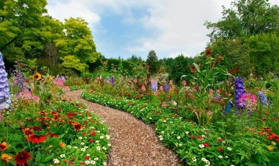 Rola szkółek drzew i krzewów ozdobnych w tworzeniu ogrodów przyjaznych dla dzikiej fauny