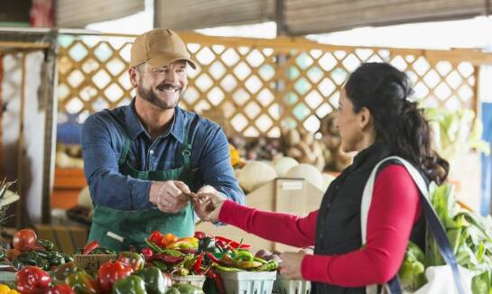 Codzienna świeżość warzyw prosto z pola w Twojej kuchni