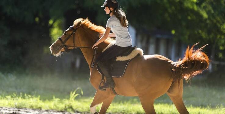 Zalety wyboru noclegów Pegaz dla uczestników weekendowych rajdów konnych
