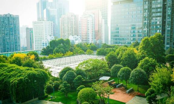 Ekologiczny papier toaletowy w gastronomii – wpływ na wizerunek lokalu