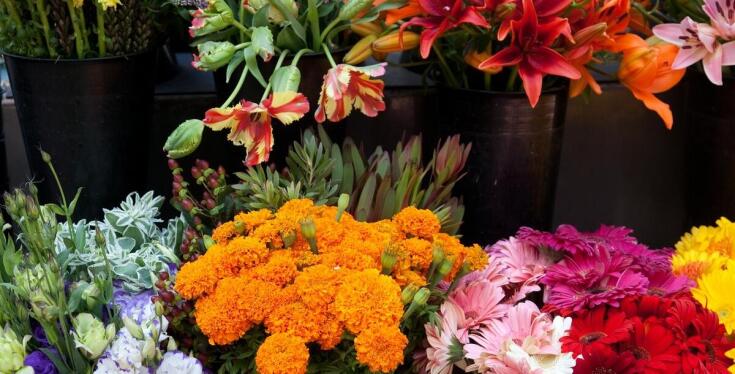 Kwiatomat 24 h: Czy to przyszłość zakupów florystycznych?