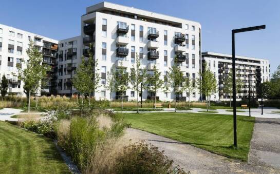 Jakie są trendy dotyczące powierzchni mieszkań na sprzedaż w Pradze Południe?