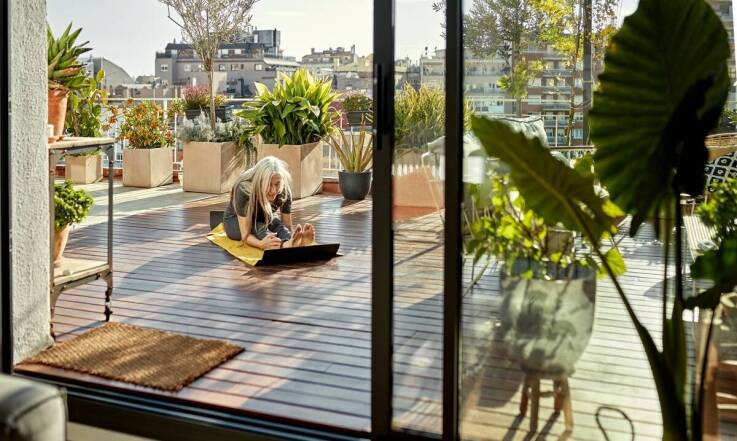 Jakie rośliny do uprawy na balkonach poleca centrum ogrodnicze?