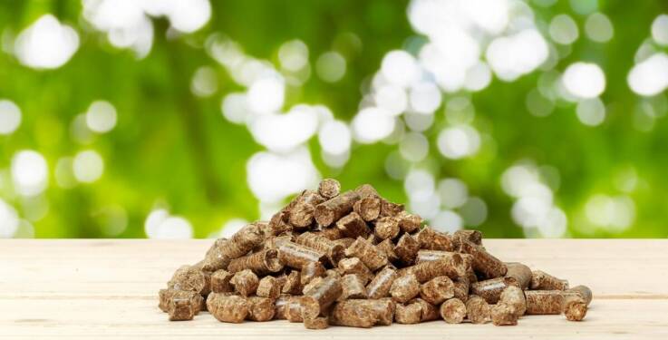 Wpływ brykietu sosnowo-brzozowego na środowisko naturalne