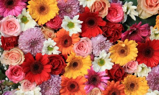 Florystyka sezonowa w Kwiaciarniach Ustroń: Jakie kwiaty wybieramy?