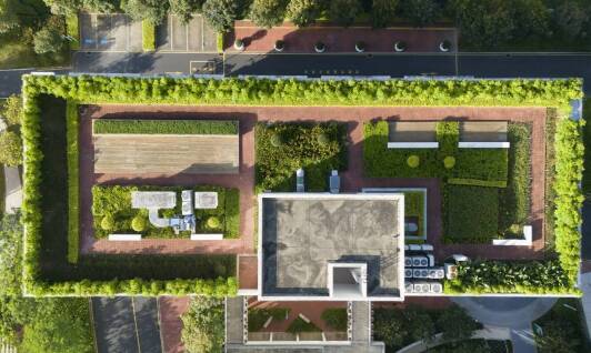 Jak iglaki mogą wzbogacić estetykę przestrzeni publicznych na Podlasiu?