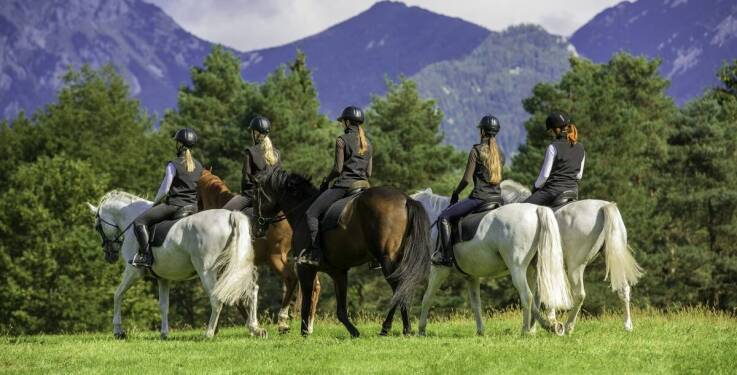 Jak przygotować się do kursu ujeżdżenia w naszym ośrodku?