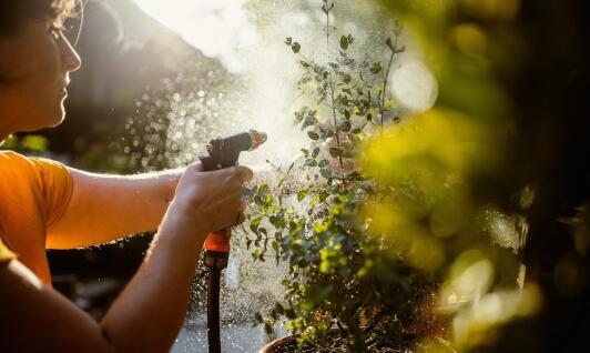 Węże ogrodowe: praktyczne porady dotyczące użytkowania i przechowywania