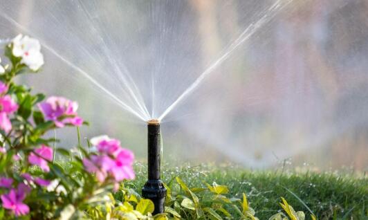 Jakie trendy panują obecnie w zakresie projektowania systemów nawadniających?