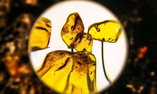 Proces tworzenia bransoletek z bursztynu – co warto wiedzieć?