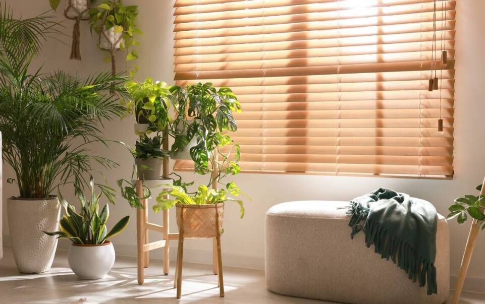 Bezpieczeństwo i estetyka - cechy charakterystyczne żaluzji plisowanych