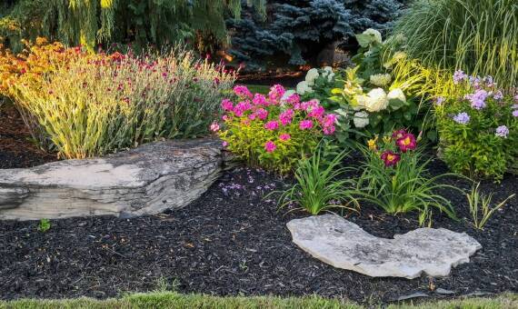 Jakie rośliny wybrać do otoczenia boisk sportowych dla poprawy estetyki?