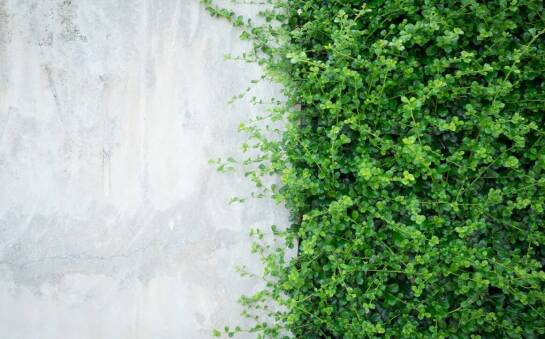 Ściany oporowe a ochrona środowiska naturalnego w budownictwie drogowym