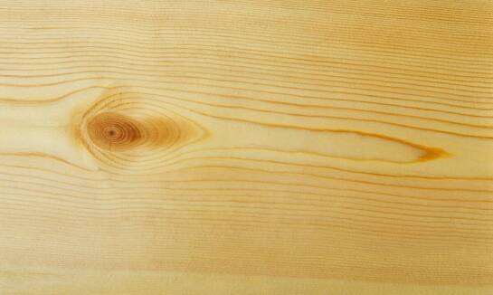 Podbitka z modrzewia syberyjskiego – dlaczego warto na nią postawić?