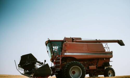 Jak fuchtel do zboża usprawnia proces sortowania ziaren?