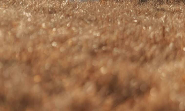 Znaczenie osobistych akcentów w sesji ciążowej realizowanej w domu
