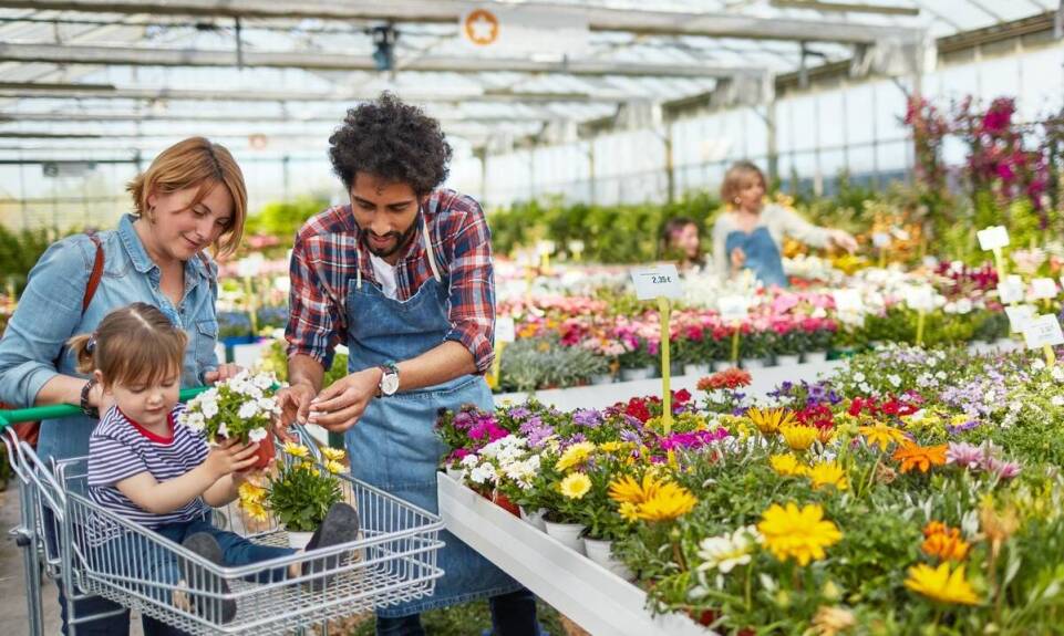 Kreatywne warsztaty florystyczne – jakie możliwości oferują uczestnikom?