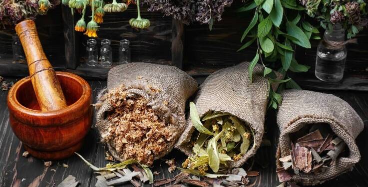 Idealne suszone zioła do herbat relaksacyjnych – propozycje i inspiracje