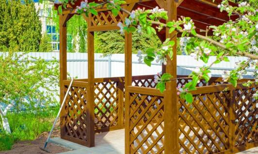 Wisteria w projektowaniu ogrodów – jak wprowadzić romantyczny akcent?