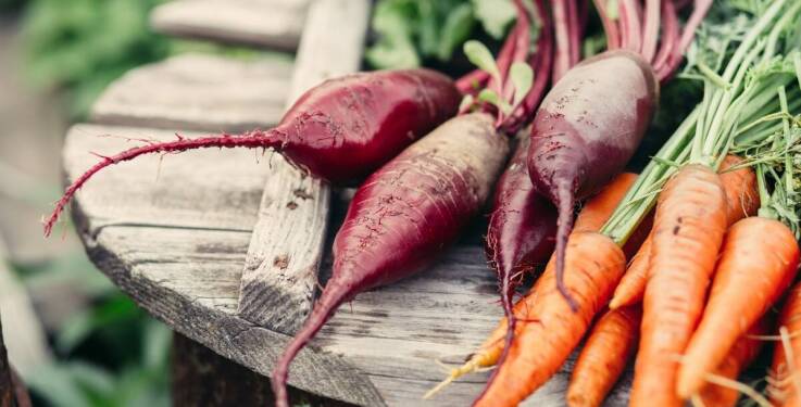 Dieta wspierająca procesy detoksykacji organizmu: co warto wiedzieć?