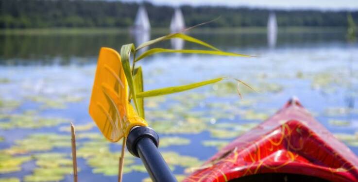 Odkryj uroki kaszubskich jezior podczas pobytu w agroturystyce