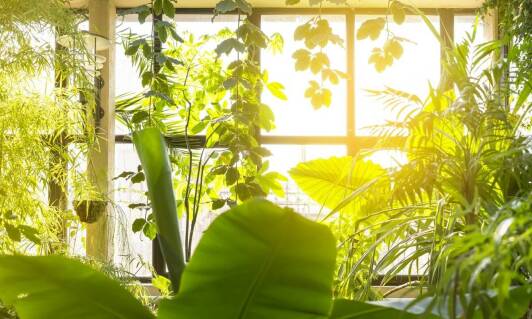 Jak stworzyć relaksującą atmosferę dzięki ogrodom wertykalnym w sypialni?