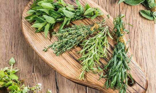 Wpływ ziół na zdrowie mięśniowe koni po intensywnym wysiłku