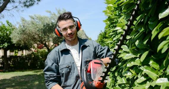 Dlaczego warto zaufać specjalistom przy usuwaniu gniazd os?