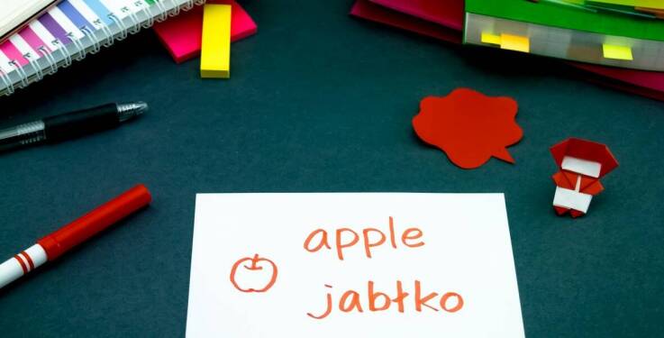 Przegląd najnowszych słowniczków polsko hiszpańskich dostępnych w księgarni online