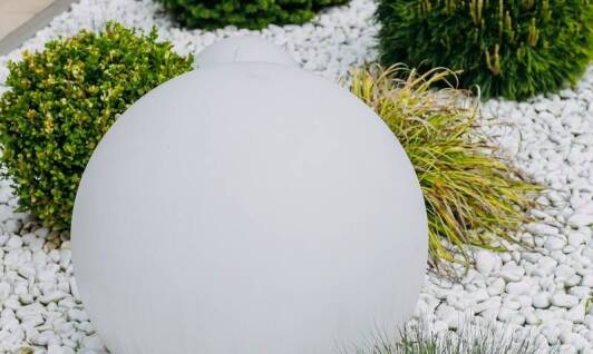 Jak hibiskus biały wpływa na estetykę przestrzeni ogrodowej?