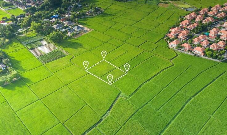 Jak konkurencyjne ceny usług wpływają na wybór rzeczoznawcy do wyceny działki?