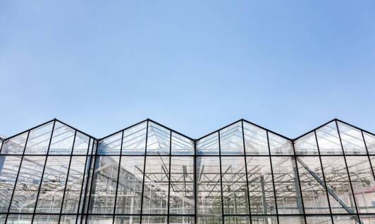 Jakie korzyści niesie za sobą inwestycja w nowoczesną halę rolniczą?