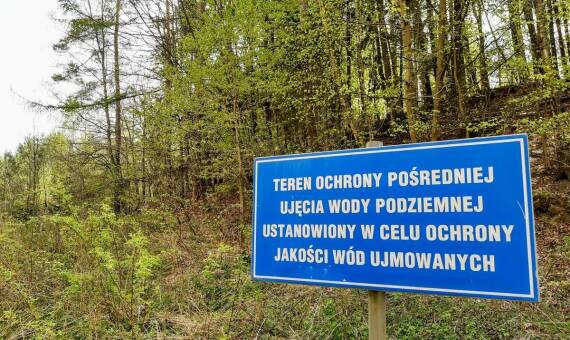 Rola specjalistów w zapewnieniu bezpiecznej wycinki drzew w Warszawie