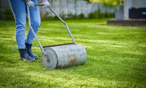 Analiza warunków glebowych w ogrodzie – Leon Łacheta