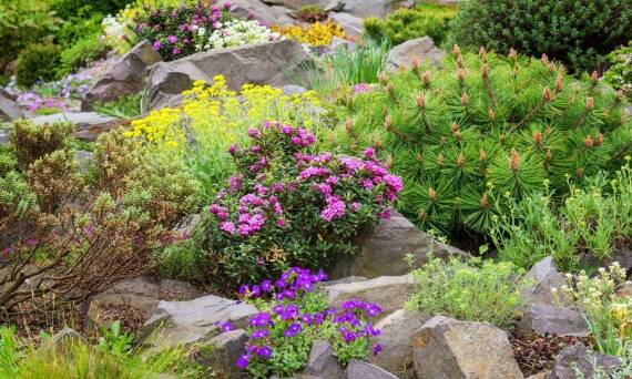 Jakie krzewy ozdobne wybrać do aranżacji ogrodu w Warszawie?