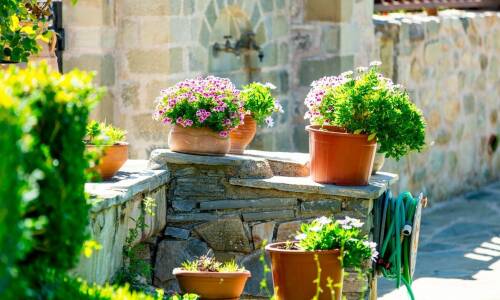 Jak pojemniki na deszczówkę do ogrodu mogą zrewolucjonizować nawadnianie roślin?