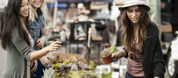 Zalety korzystania z busów do Holandii rozpoczynających trasę w Rzeszowie